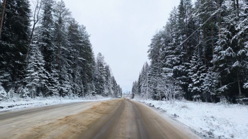 Вырубленный лес при ремонте дороги на дырносские дачи отправится на нужды сыктывкарских дорожников