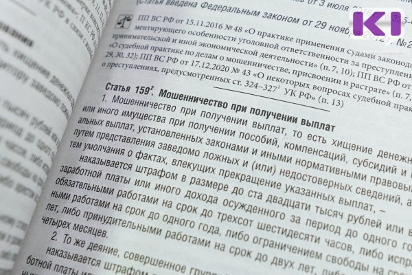 Жительница Вуктыла осуждена за мошенничество при получении соцвыплат