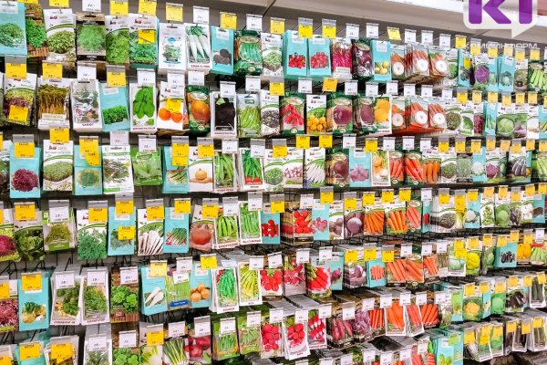 Россельхознадзор Коми проверил почти 8,5 тыс. партий семян сельскохозяйственных растений