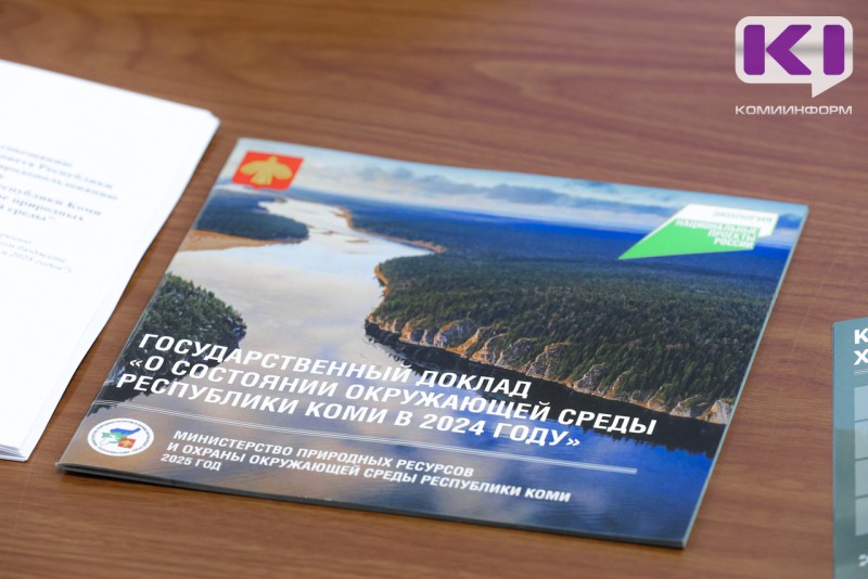 В Коми усилят меры по пресечению образования мест несанкционированного размещения отходов

