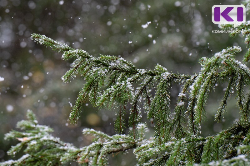 В южных районах Коми ожидаются снегопады