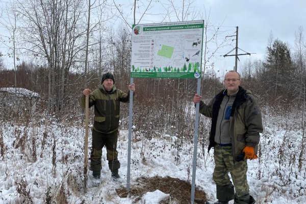 Спасти северного оленя: в новом заказнике в Коми установлены пять защитных аншлагов