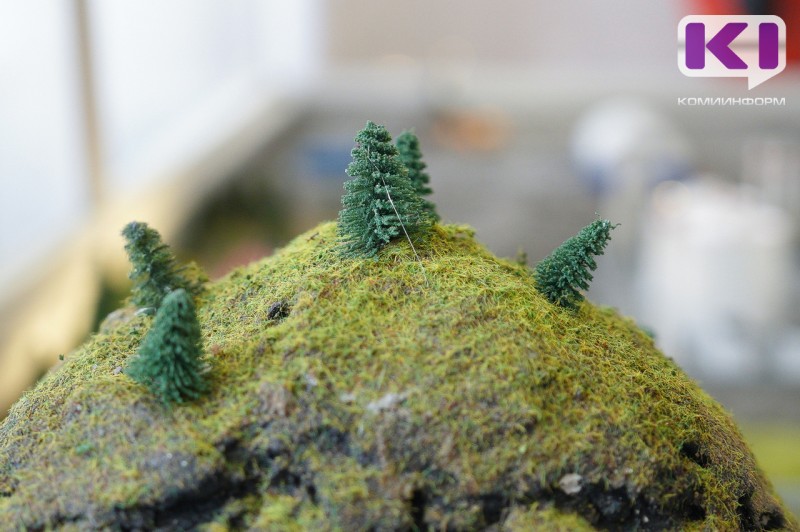 Новогодние ели в лесах Коми стали дороже 