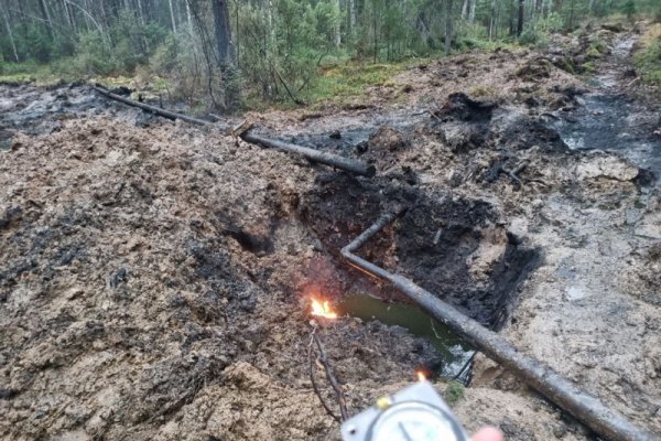 Минприроды Коми взыскивает с 