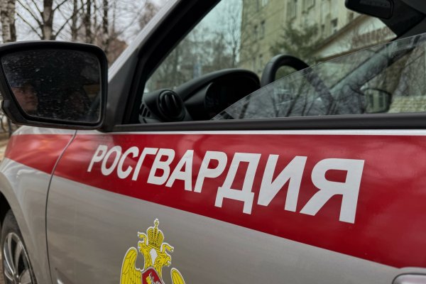 Росгвардейцы задержали женщину, устроившую потасовку в сыктывкарском баре