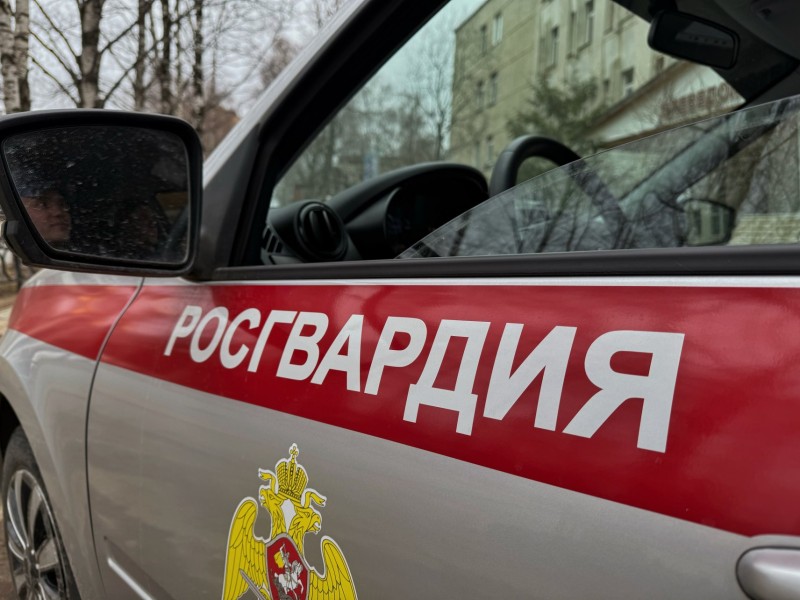 Росгвардейцы задержали женщину, устроившую потасовку в сыктывкарском баре