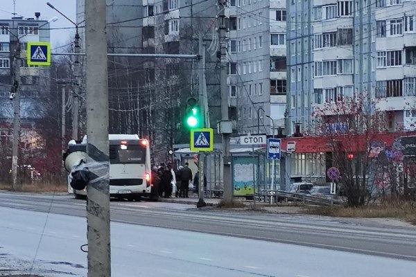 Депутаты Совета Сыктывкара призвали провести проверку незаконной звуковой рекламы в Эжве