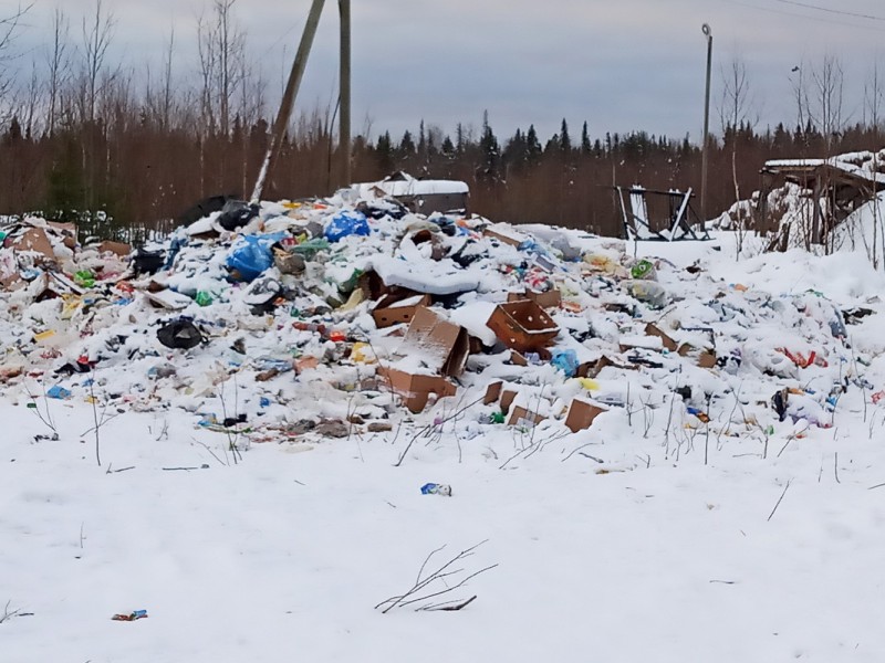 Прокуратура Коми направила материалы с горящей свалки ТКО в Роспотребнадзор и органы полиции