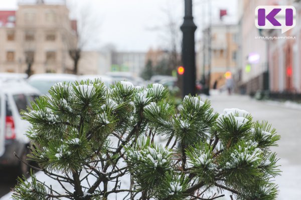 Погода в Коми 21 ноября: в южных районах 0...-5°С, на севере -6...-11°С