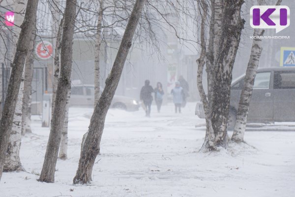 Погода в Коми 22 ноября: умеренный снег, -3...-5°С