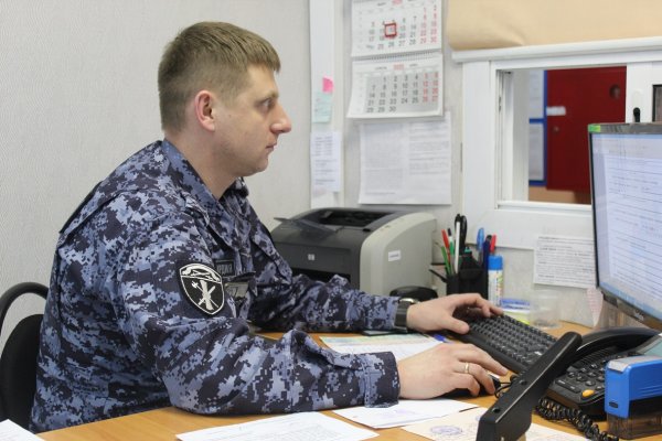 Росгвардейцы в Коми за неделю изъяли 47 единиц охотничьего оружия