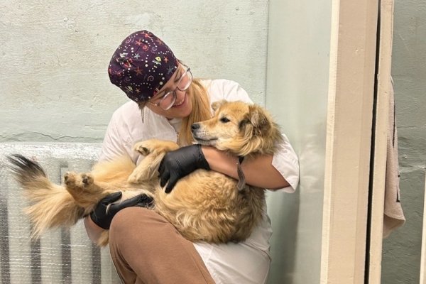 Современное оборудование, 