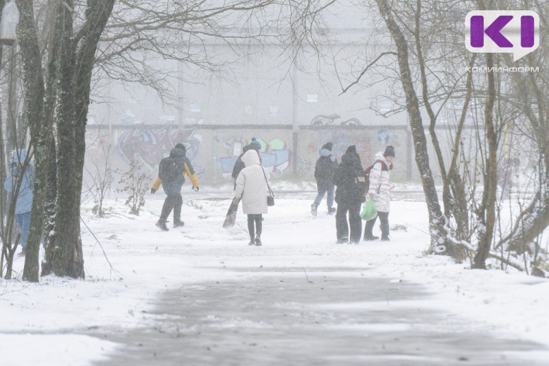 Погода в Коми 24 ноября: небольшой снег, на крайнем севере местами туман