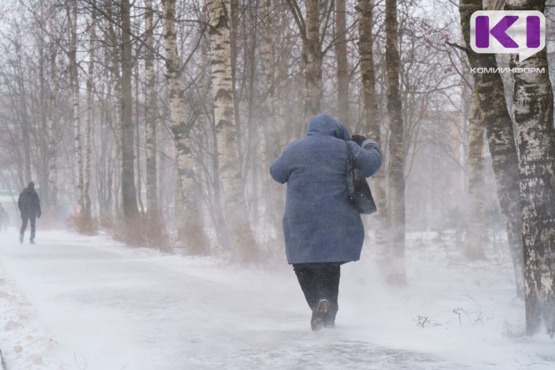 На Коми надвигаются метели