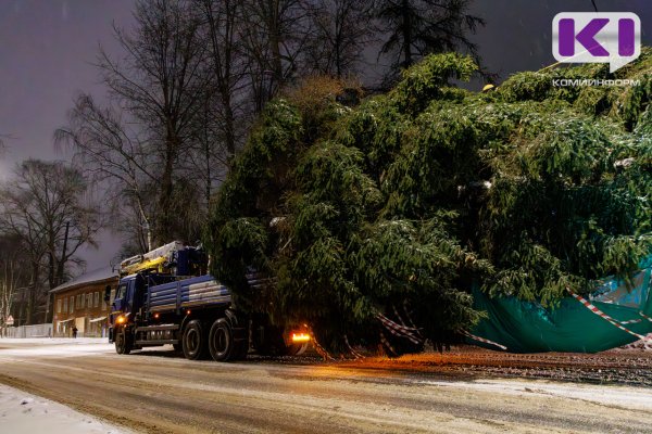 Новый год к нам мчится: в Сыктывкар привезли главную новогоднюю елку республики