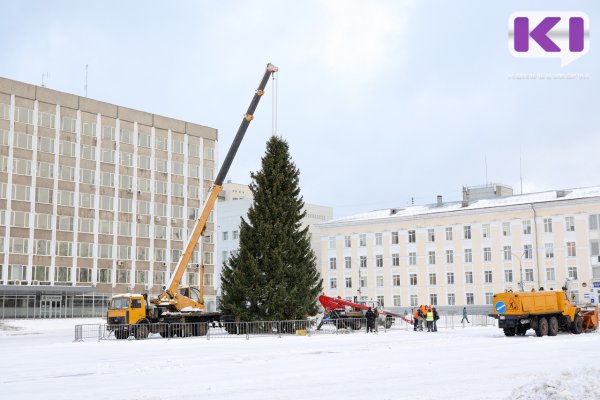 В столице Коми установили самую пушистую елку 