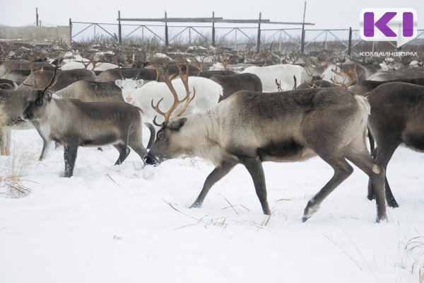 Следственный комитет РФ проверит интинское предприятие 