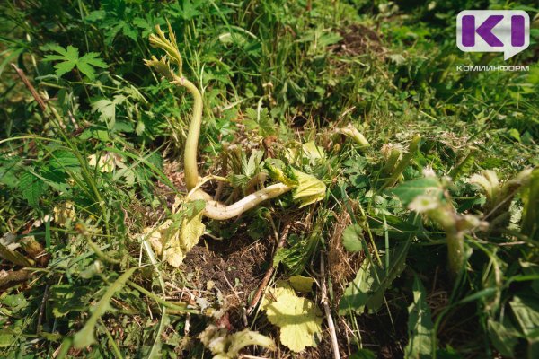 Фермера в Коми оштрафовали на 540 тысяч рублей за неисполнение предписаний

