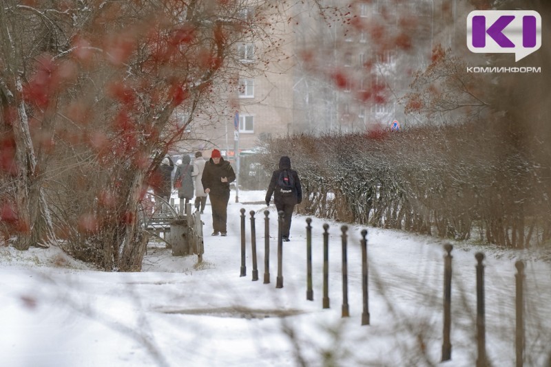 Погода в Коми 27 ноября: на севере -29°С, на юге - 7°С