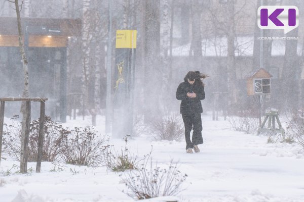 В южных и центральных районах Коми ожидаются снегопады 