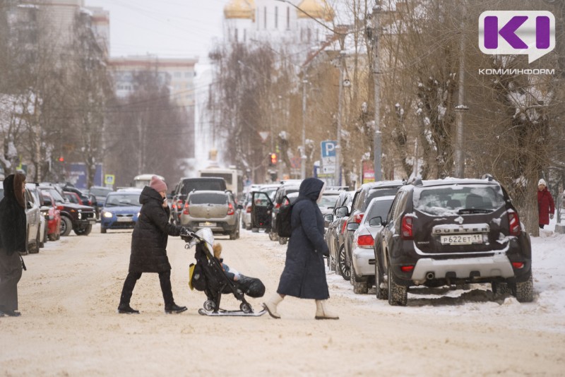 Гибкий график и удаленка сегодня нужны работающим матерям Сыктывкара больше матпомощи


