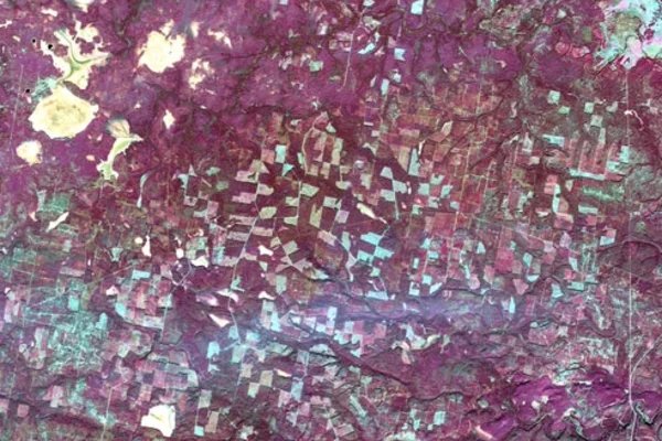 Центр защиты лесов Коми по снимкам из космоса определил фонд восстановления в Усть-Немском лесничестве