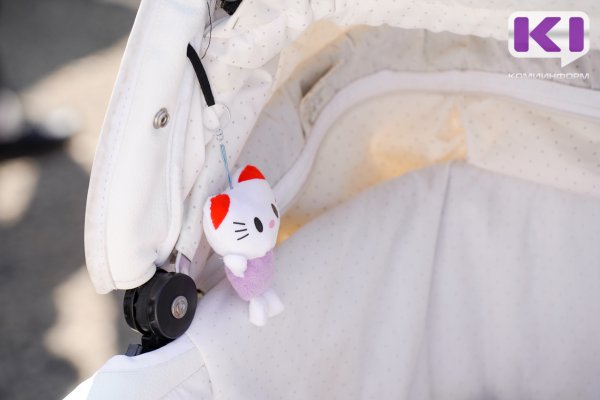 73% сыктывкарцев одобряют празднование Дня матери