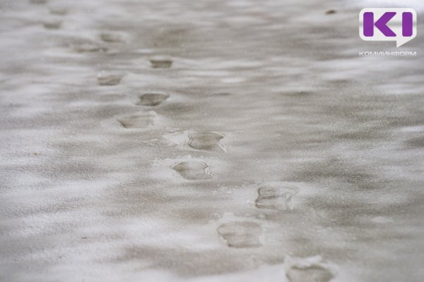 Погода в Коми 1 декабря: мокрый снег, дождь, +1°С