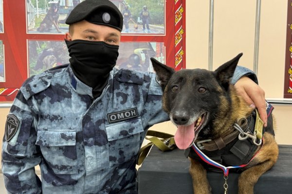 Впервые в Сыктывкаре минно-розыскную собаку наградили медалью Росгвардии