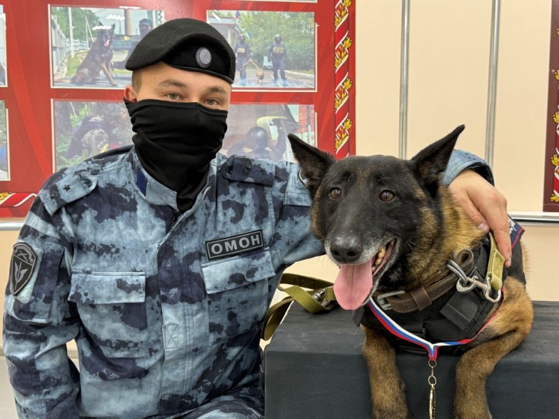 Впервые в Сыктывкаре минно-розыскную собаку наградили медалью Росгвардии