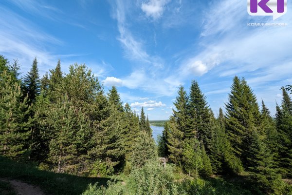 Кабмин до 2030 года направит около 70 млрд рублей на сохранение лесов