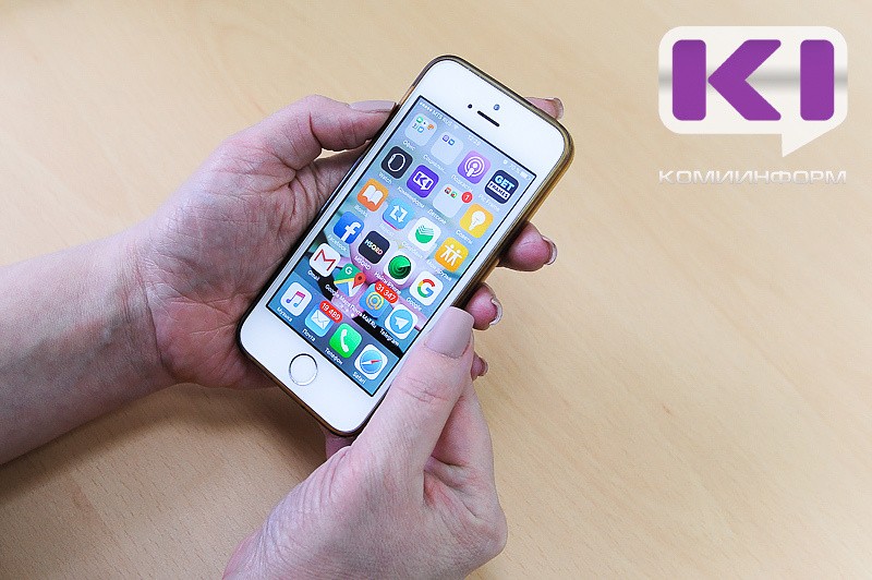 Жительница Троицко-Печорского района стала фигуранткой уголовного дела после экстремистских комментариев в соцсетях