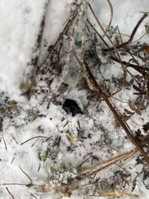 Полицейские Сыктывкара задержали 