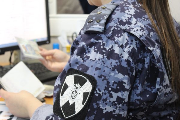 Росгвардией Коми за неделю изъято более 30 единиц охотничьего оружия