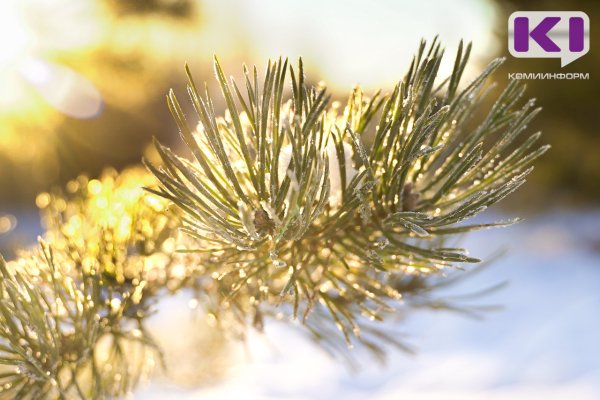 В Сыктывкаре объявлен актированный день 