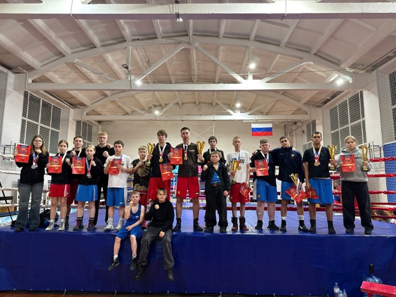 Множество медалей завоевали боксеры Коми на соревнованиях в Вельске