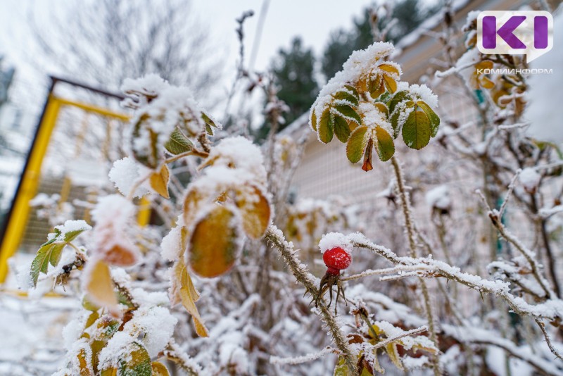 В некоторых районах Коми продолжаются актированные дни 
