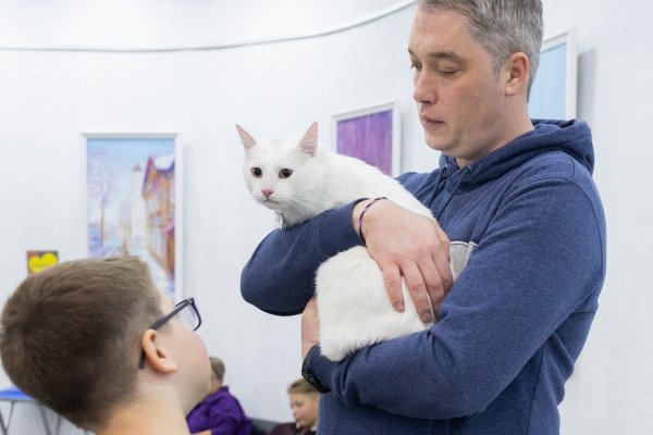 Найти дом для пушистых: в Сыктывкаре пройдет шестой фестиваль 