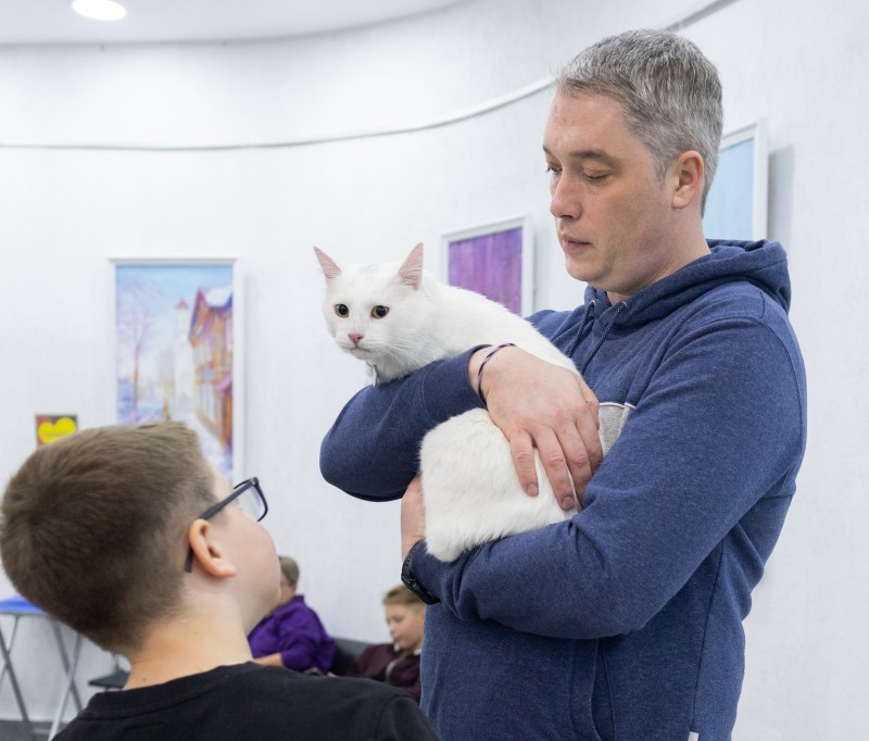 Найти дом для пушистых: в Сыктывкаре пройдет шестой фестиваль "Пойдем домой"