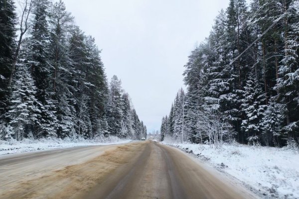 В Сыктывкаре вновь объявлен аукцион на капремонт дороги на Дырносских дачах