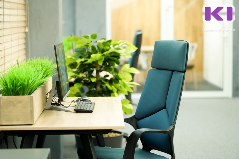 30% сыктывкарцев ищут себе замену, увольняясь с работы 