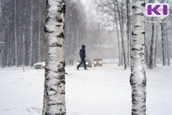 Погода в Коми 15 декабря: днем местами небольшой снег