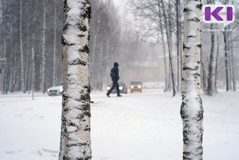 Погода в Коми 15 декабря: днем местами небольшой снег