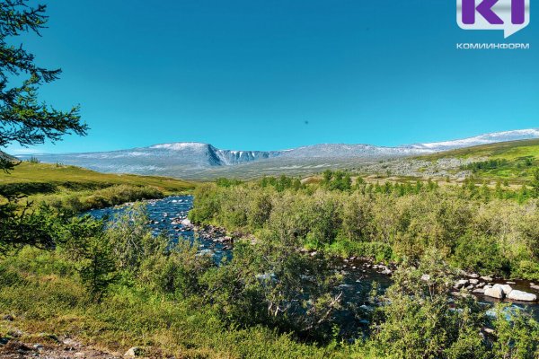 Печорская природоохранная прокуратура выявила нарушения законодательства о противодействии коррупции в деятельности Нацпарка 