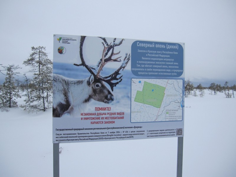 Состоялся второй выезд в заказник "Дзервад" для изучения дикого северного оленя