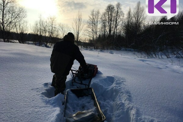 Четверых человек ночью вытащили из болота в Княжпогостском районе