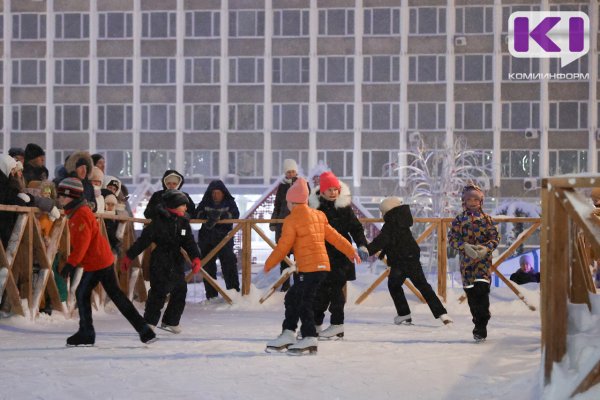 Погода в Коми 30 декабря: небольшой снег, в отдельных районах туман