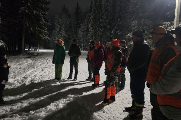 В феврале волонтеры 