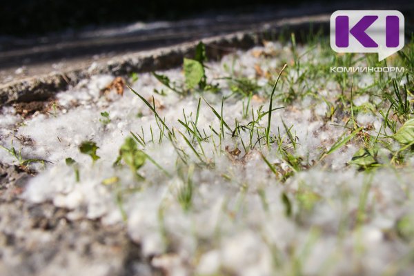 Погода в Коми 15 марта: теплое дыхание весны