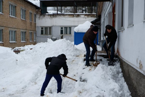 Волонтеры и депутаты 